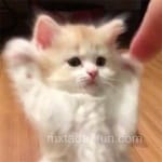 Avatar de Ana Sofía